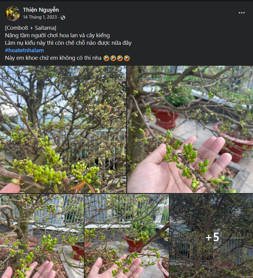 Combo 4 Saitama Viên Tặng 1Kg Viên + 100 Túi lọc - Phân Bón Hữu Cơ Tan Chậm Cho Hoa Lan Và Cây Trồng Cảnh