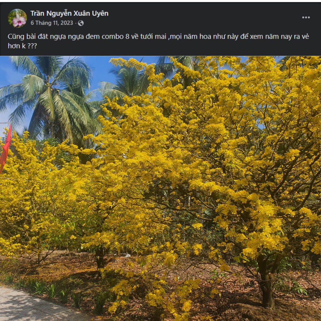 Combo 4 Saitama Viên Tặng 1Kg Viên + 100 Túi lọc - Phân Bón Hữu Cơ Tan Chậm Cho Hoa Lan Và Cây Trồng Cảnh