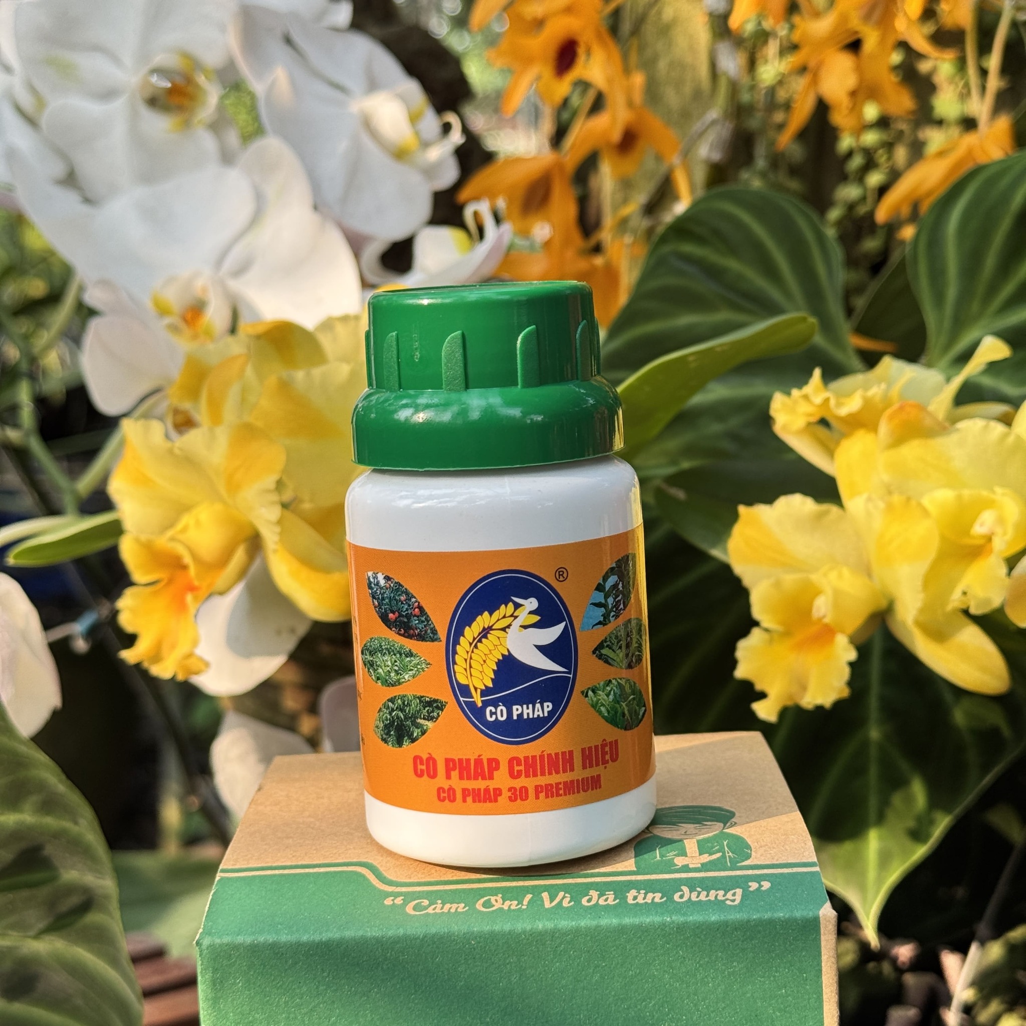 Kích Cây Ra Rễ, Nảy Mầm, To Thân, Dày Lá - Cò Pháp 30 Premium