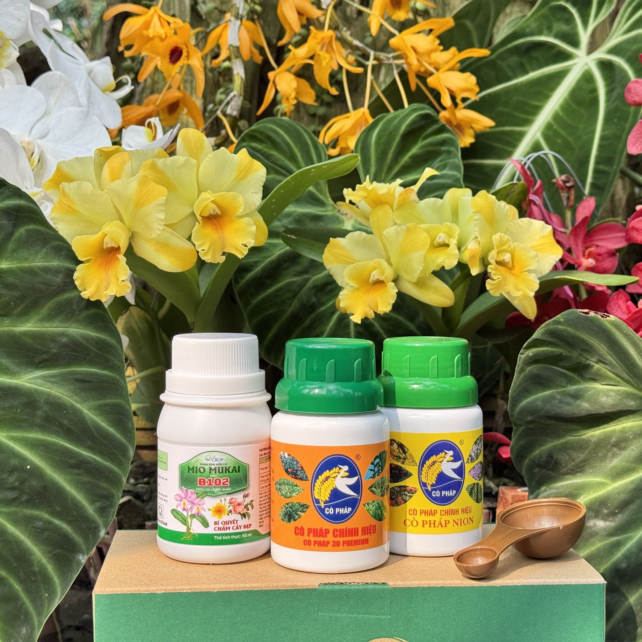 Kích rễ - Bật Mầm - Mập Thân - Dày Lá với Bước 1 Combo 8 Premium (100ml)