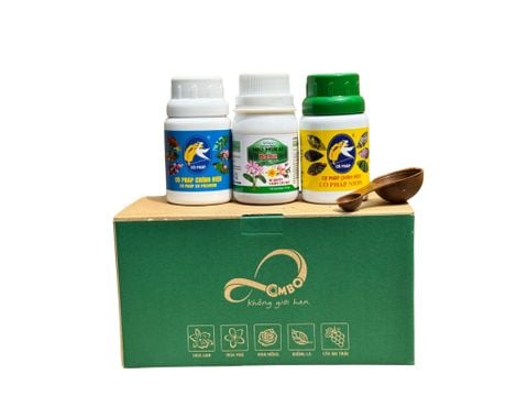 Ra Hoa Đồng Loạt, Đậm Sắc - Bền Hương Với Bước 2 Combo 8 Premium