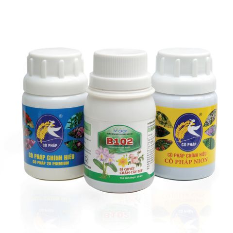 Ra Hoa Đồng Loạt, Đậm Sắc - Bền Hương Với Bước 2 Combo 8 Premium