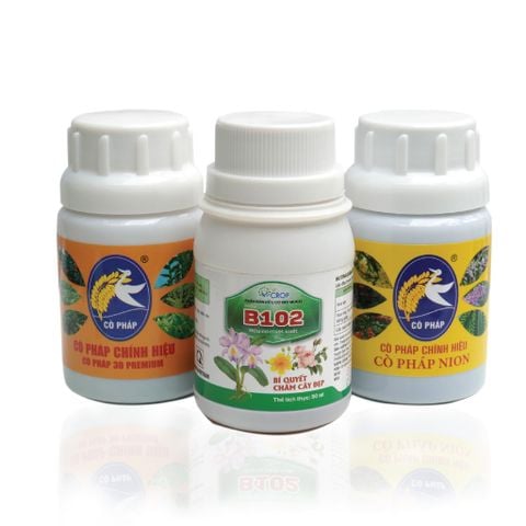 Kích rễ - Bật Mầm - Mập Thân - Dày Lá với Bước 1 Combo 8 Premium