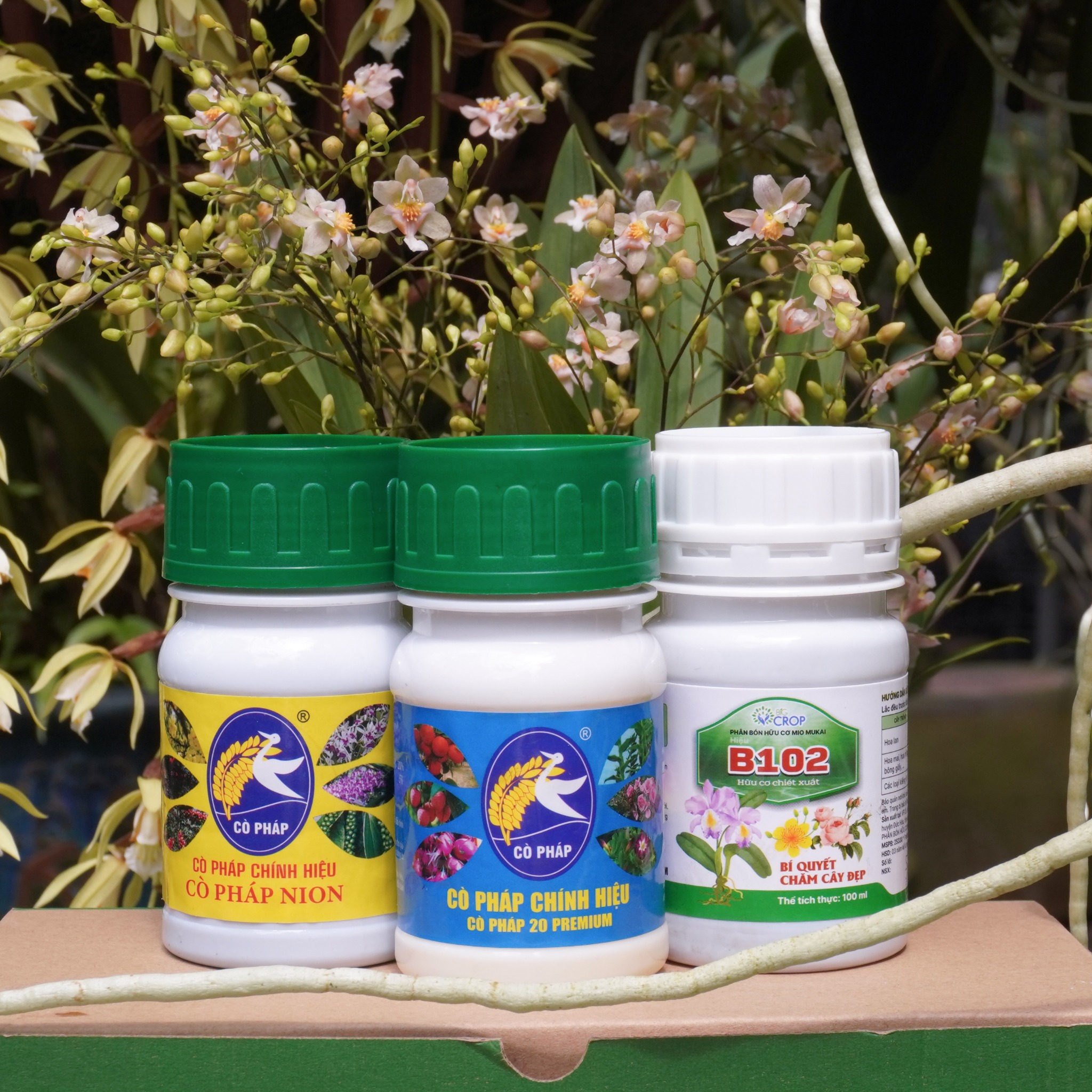 Ra Hoa Đồng Loạt, Đậm Sắc - Bền Hương Với Bước 2 Combo 8 Premium
