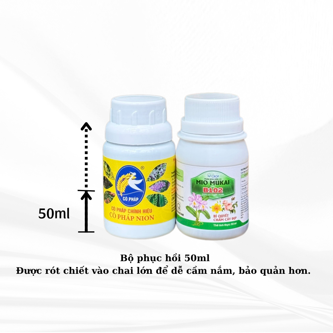 Bộ Đôi Vô Cực - Phục Hồi Mai Vàng Sau Xả Tàn, Suy Kiệt & Hỗ Trợ Mai Ra Rễ, Bật Mầm