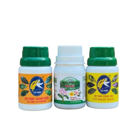 Kích rễ - Bật Mầm - Mập Thân - Dày Lá với Bước 1 Combo 8 Premium