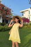  Đầm bèo rút nhún - Vàng - D0733 