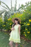  Đầm bèo rút nhún - Vàng - D0733 