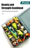  Hộp dụng cụ nhựa Pro'skit SB-6005 ( 225 × 180 × 60 mm) 