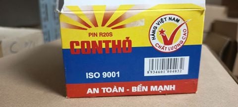 Pin Đại R20