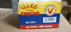 Pin Đại R20