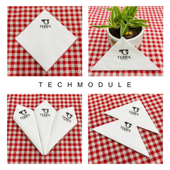  Khăn giấy ăn in logo TERRA COFFEE 