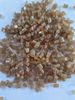 EPS recycled pellets light brown color
