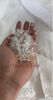 PET bottle bales flakes hotwashed / Natural