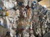 LDPE film on bales grade B / mixed colors