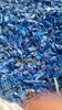 HDPE  Drums Regrind Blue