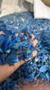HDPE  Drums Regrind Blue