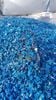 HDPE drums regrind blue