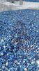 HDPE drums regrind blue