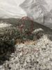 LLDPE Recycled pellets film grade natural color