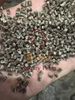PP recycled pellets from jumbo bags multi-colors / MFI 10