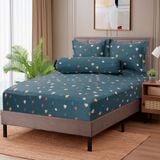 Bộ drap - áo gối Funny 026 Tencel 60s