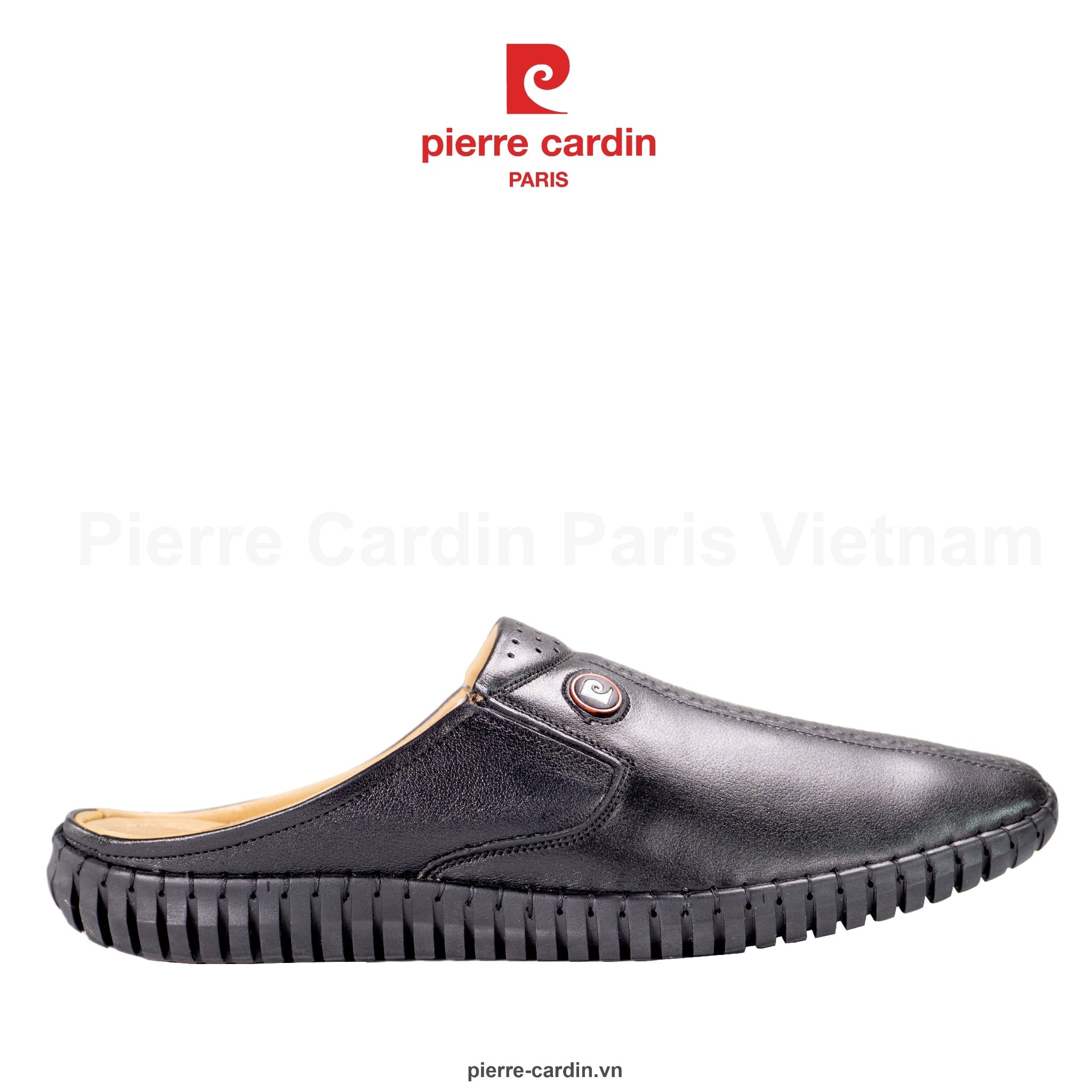 Sapo Pierre Cardin 811