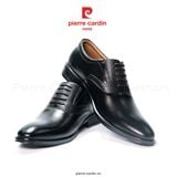 Giày tây nam có dây Oxford Pierre Cardin 806