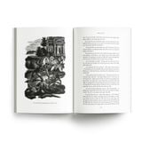 Đỉnh Gió Hú (Bìa mềm, 2026)