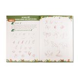 Hướng dẫn luyện viết chữ đẹp cơ bản