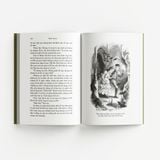 Những cuộc phiêu lưu của Tom Sawyer
