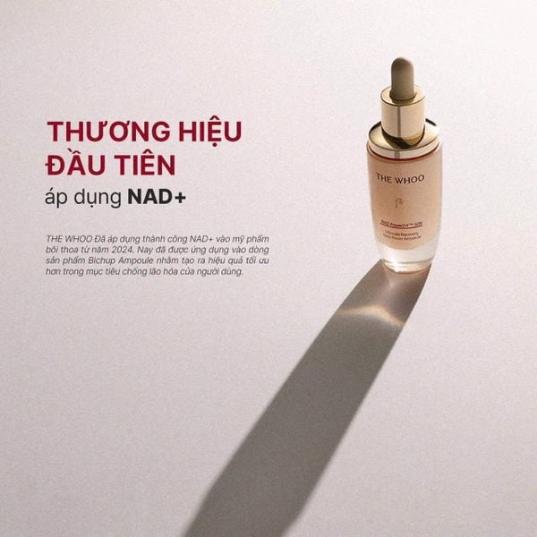  Tinh chất chống lão hóa The Whoo Bichup Ultimate Recovery NAD Power Ampoule 10ml 