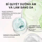  Kem Lót Focallure Light Correcting Makeup Base 30ml FA934 