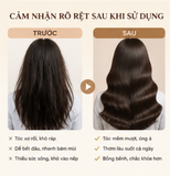  Dầu Gội Hương Nước Hoa Hetras The Simkong Shampoo 1013ml 