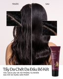  Tẩy Tế Bào Chết Da Đầu Bồ Kết Cocoon Gleditsia Scalp Scrub 200ml 