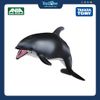 Mô hình đồ chơi Động Vật Cá Heo Sườn Trắng ANIA AS-19 White Sided Dolphin TAKARA TOMY