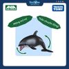 Mô hình đồ chơi Động Vật Cá Heo Sườn Trắng ANIA AS-19 White Sided Dolphin TAKARA TOMY