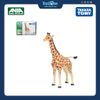 Mô hình đồ chơi Động Vật Hưu Cao Cổ ANIA AL-30 Giraffe TAKARA TOMY