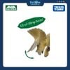Mô hình đồ chơi Khủng Long 3 Sừng ANIA AL-02 Triceratops TAKARA TOMY
