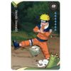 Bộ thẻ sưu tầm Naruto Smriti Chapter Jin Series 1 KAYOU