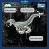 Mô hình đồ chơi Khủng Long Velociraptor ANIA Jurassic World Blue ( With Battle Card ) TAKARA TOMY
