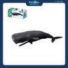 Mô hình đồ chơi Động Vật Cá Nhà Táng ANIA AL-34 Sperm Whale TAKARA TOMY