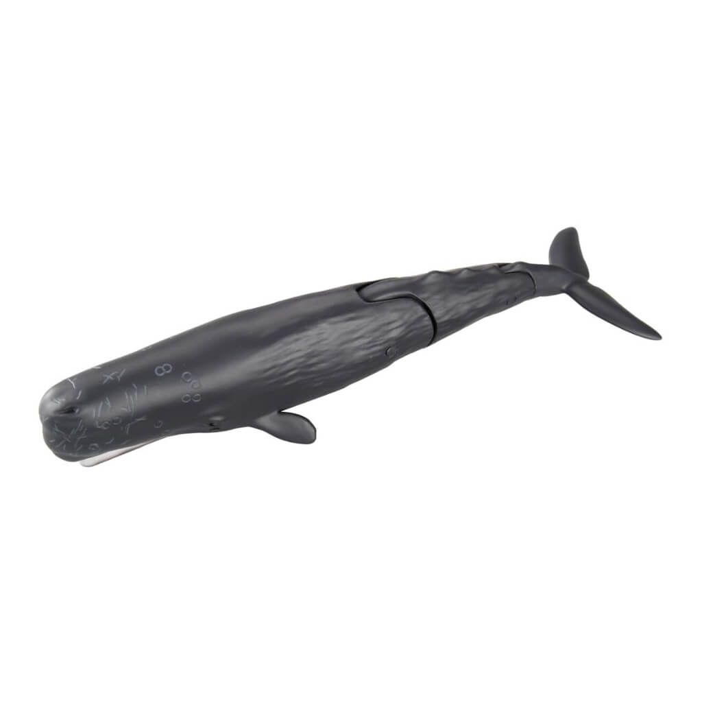 Mô hình đồ chơi Động Vật Cá Nhà Táng ANIA AL-34 Sperm Whale TAKARA TOMY