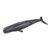 Mô hình đồ chơi Động Vật Cá Nhà Táng ANIA AL-34 Sperm Whale TAKARA TOMY