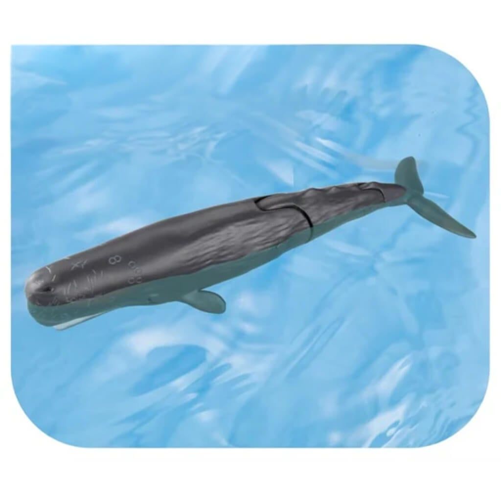 Mô hình đồ chơi Động Vật Cá Nhà Táng ANIA AL-34 Sperm Whale TAKARA TOMY