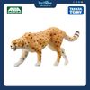 Mô hình đồ chơi Động Vật Báo Săn ANIA AS-13 Cheetah ( Wild Ver. ) TAKARA TOMY
