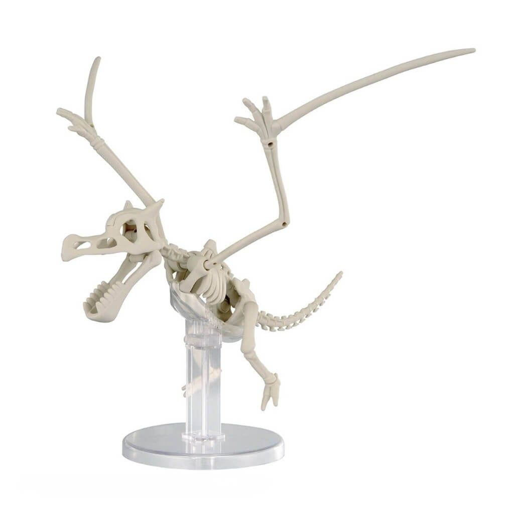 Mô hình lắp ráp Pokemon Plamo Collection Fossil Series Plastic Model Kit BANDAI