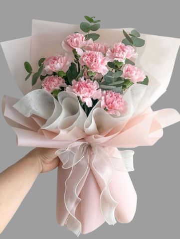 Cẩm Chướng Hồng | Pinky Love