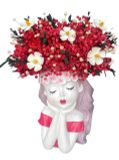 Hoa Sấy Khô | Preserved Flowers