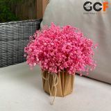 Set 10 Chậu Giấy Kraft Xếp Ly